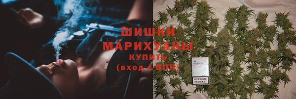 тгк Богородск