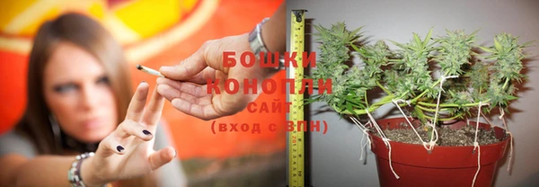 круглые Богданович