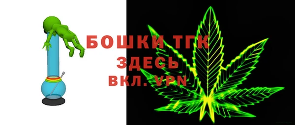 гашик Богородицк
